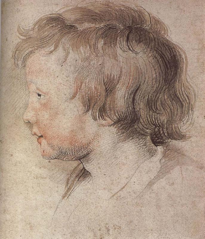 Portrait of Younger Rubens, Peter Paul Rubens